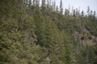 DSC_0181 (Large).JPG